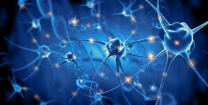 Heal the Vagus Nerve Naturally: Effective Tips and Techniques