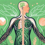 The vagus nerve in a human body with different healing elements like herbs