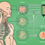 A medical device used for vagus nerve stimulation