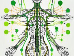 A vagus nerve stimulator device connected to an abstract representation of the human nervous system