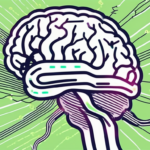 A brain with the vagus nerve highlighted