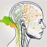 The human head in a side view