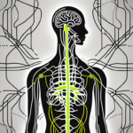 A vagus nerve stimulator device connected to a stylized image of the human nervous system