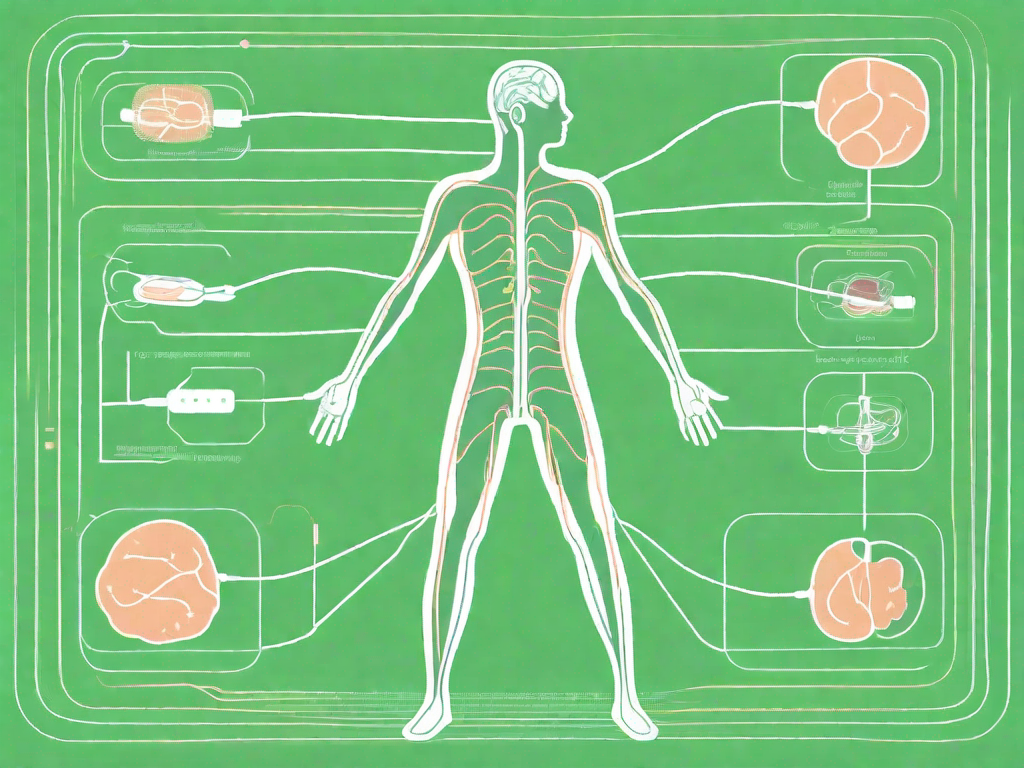 A vagus nerve stimulator device connected to the vagus nerve