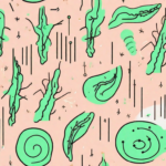 The human digestive system with the vagus nerve highlighted