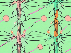 A healthy vagus nerve in bright colors next to a damaged one in dull colors