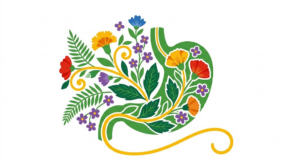 A flat vector illustration of a human stomach on a white background.