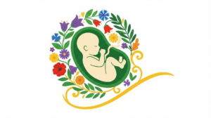 Flat vector illustration of a curled fetus in the womb encircled by a folk-art wreath of violet bellflowers, asters and olive sprigs.