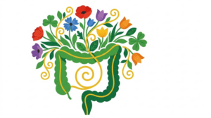 A flat vector folk-art illustration of a human large intestine with stylised poppies and tulips arching over it on a white background.