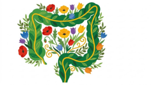 A flat folk-art vector illustration of a human lower bowel silhouette against poppies, tulips and olive sprigs.