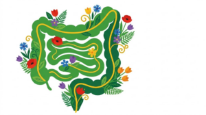 A flat folk-art vector illustration of a coiled human intestine wreathed in stylised flowers, ferns and a golden vine on a white background.
