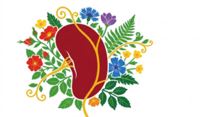 A flat vector illustration of a human spleen on a white background.