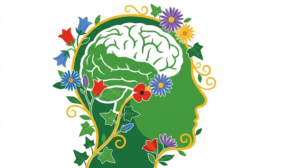 A flat vector illustration of a human head and brain shown in side profile.