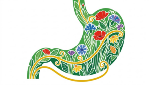 A flat folk-art vector illustration of a human stomach filled with cornflowers, daisies and grasses like stained glass on white.