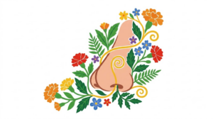 A flat folk-art vector illustration of a human nose with marigolds and fern fronds climbing around it.