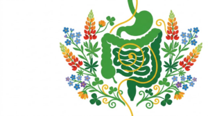 A flat folk-art vector illustration of the human digestive tract framed by stylised lupins, blossoms and golden vines on a white background.