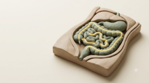 A soft matte clay render of a human gut shown as a torso cross-section, with a single bright golden thread tracing through the internal forms.