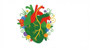 Flat vector illustration of a human heart with its coronary arteries, small clusters of stylised marigolds and blossoms tucked along the outline.