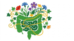 A flat folk-art vector illustration of a human intestine with cornflowers, daisies and ivy arching over it.