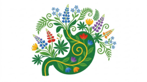 A flat vector folk-art illustration of a human stomach with stylised lupins and ferns arching over it on a white background.