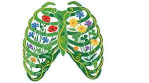 A flat vector illustration of a human ribcage on a white background.