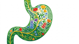 A flat folk-art vector illustration of a human stomach filled with lupins, forget me nots and fern fronds.
