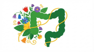 Flat vector illustration of a human large intestine with a spray of stylised bellflowers and asters fanning out from one side.