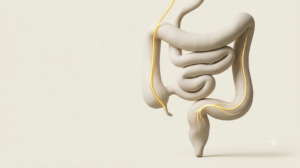 Stylised clay sculpture of the lower digestive tract with a glowing golden nerve filament branching and fading along its length