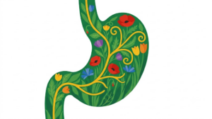 A flat folk-art vector illustration of a human stomach filled with poppies, tulips and slender grasses.