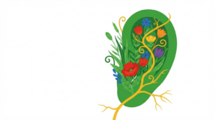 Flat vector illustration of a human ear filled with stylised poppies and tulips, with one golden vine branching through it like a root system.