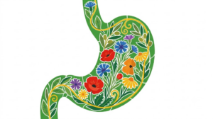 A flat folk-art vector illustration of a human stomach framed by stylised marigolds, blossoms and curling vines on a white background.